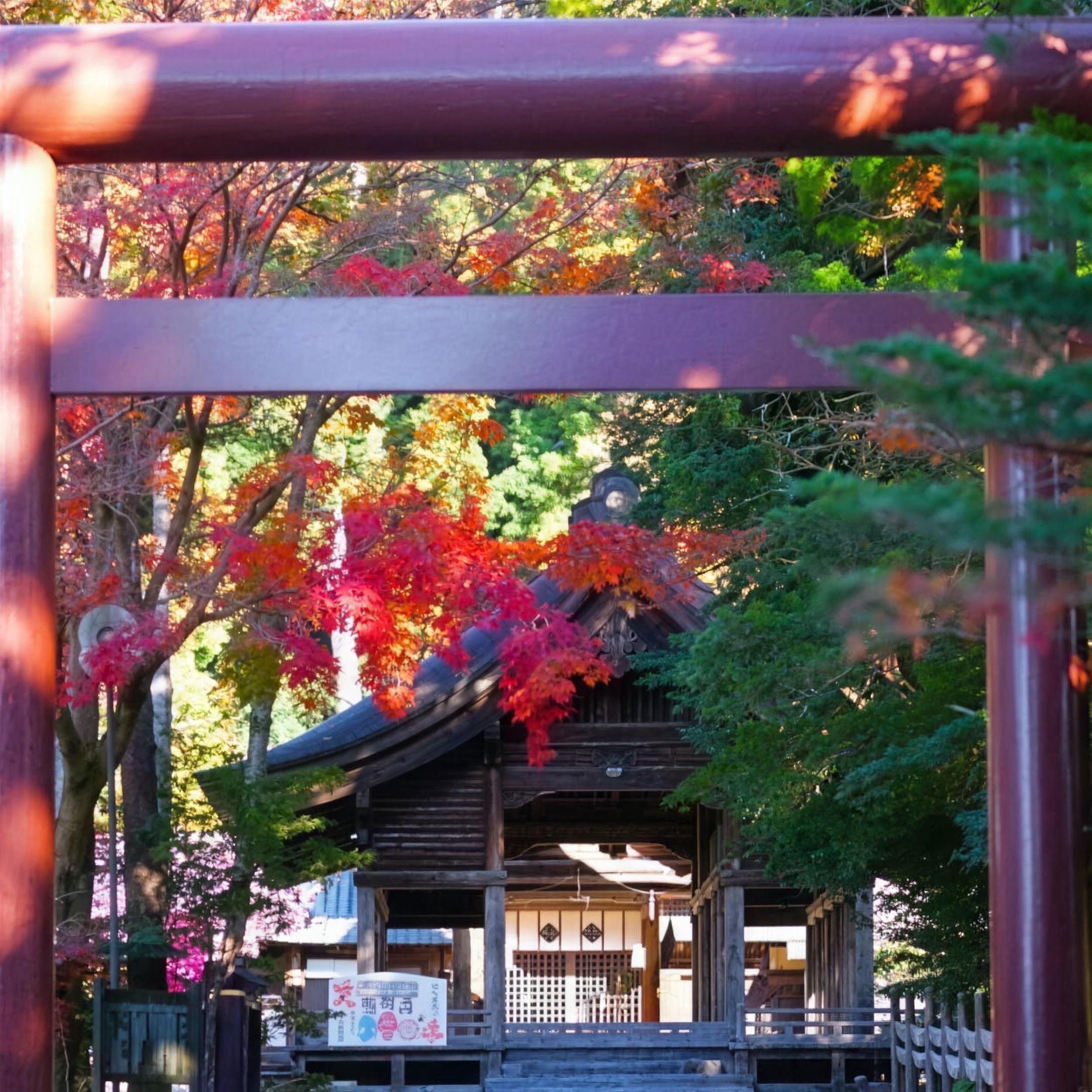 紅葉の参道